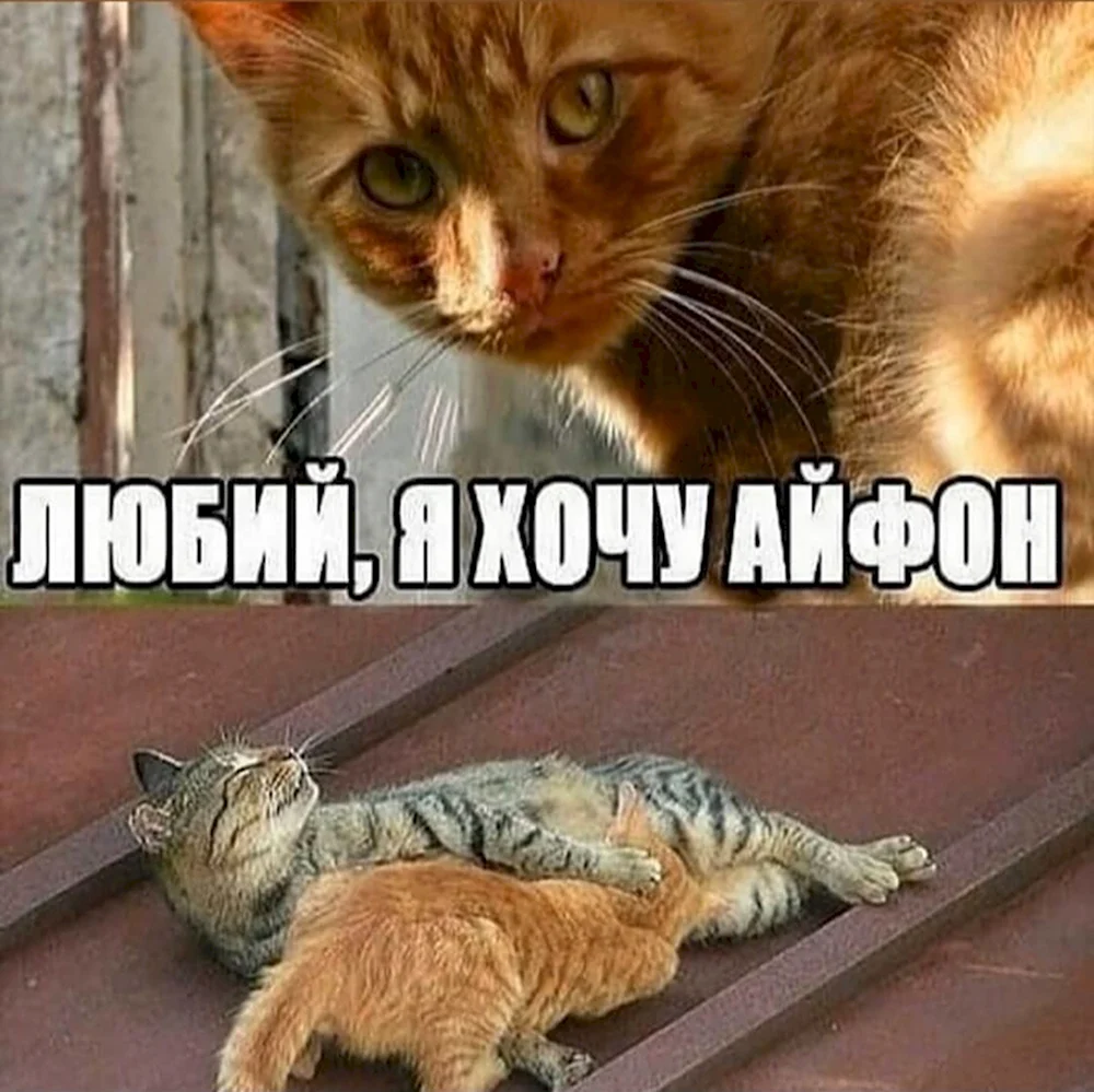 Хочите прикол