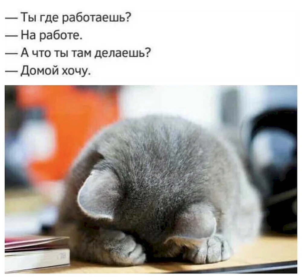 Хочу домой с работы