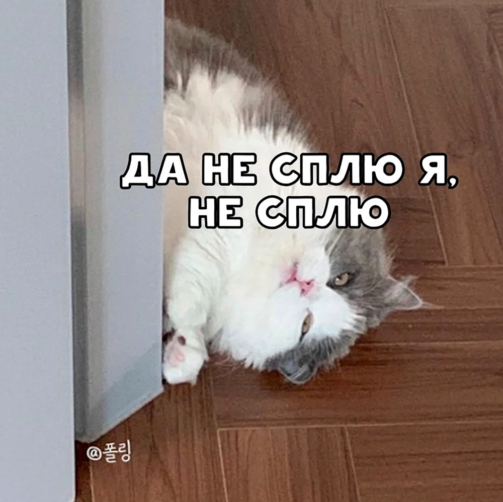 Хочу спать