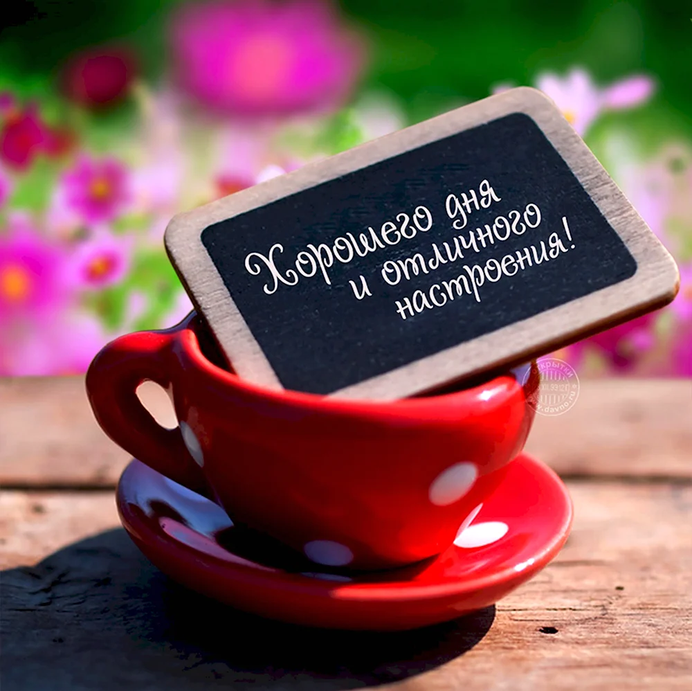 Хорошего дня и отличного настроения