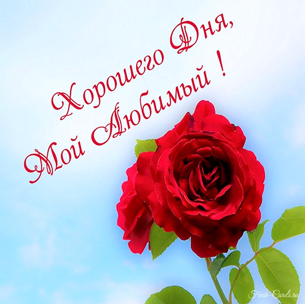 Хорошего дня любимый