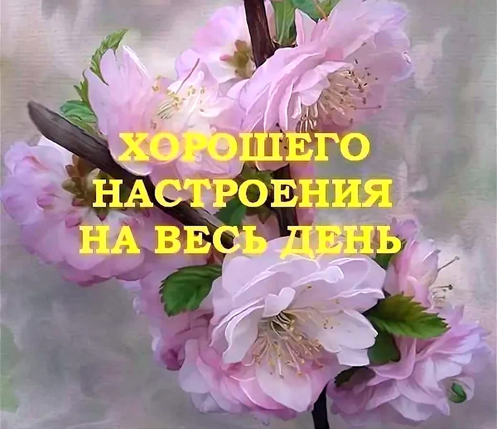 Хорошего настроения на весь день