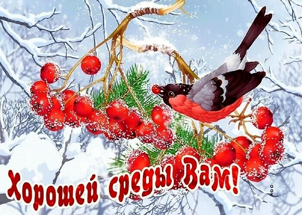 Хорошего зимнего дня
