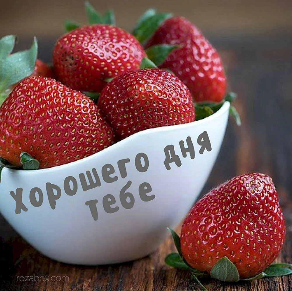 Хороший день