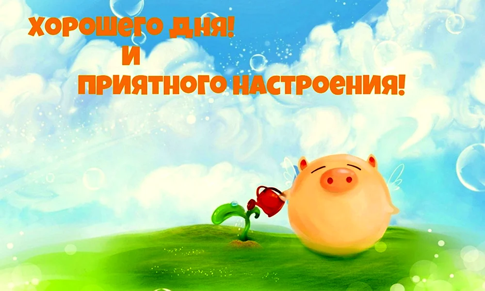 Хороший день