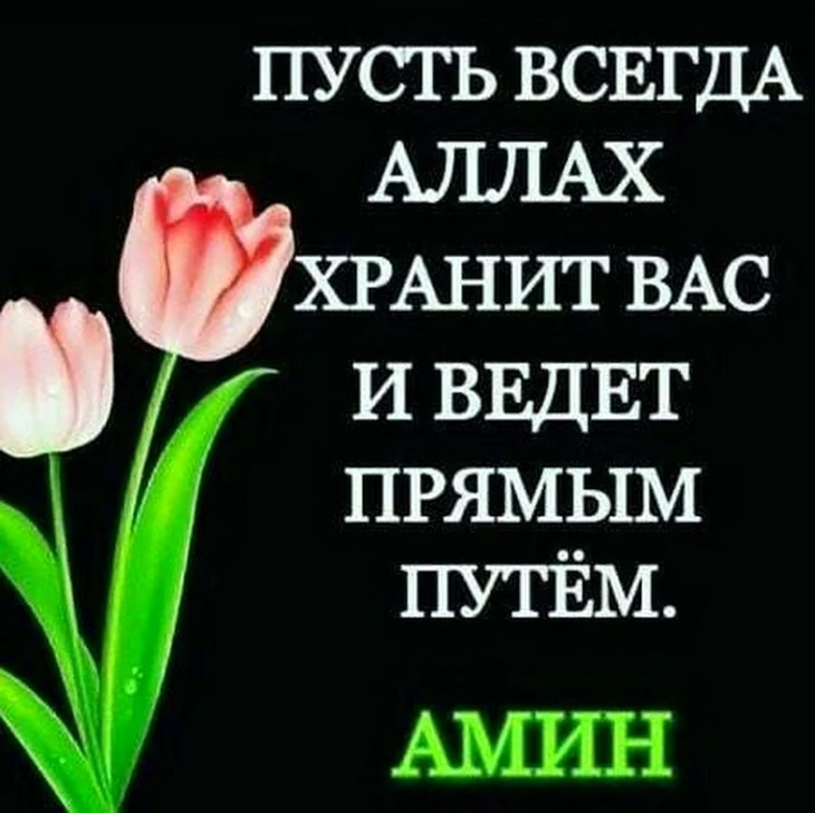 Храни вас Аллах