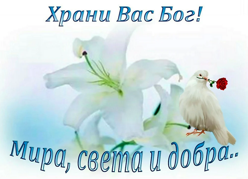 Храни вас Бог