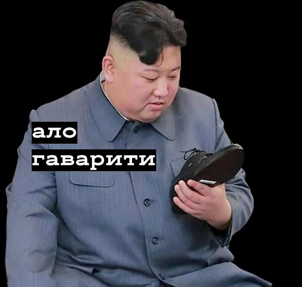 Ким Чен Ын мэм