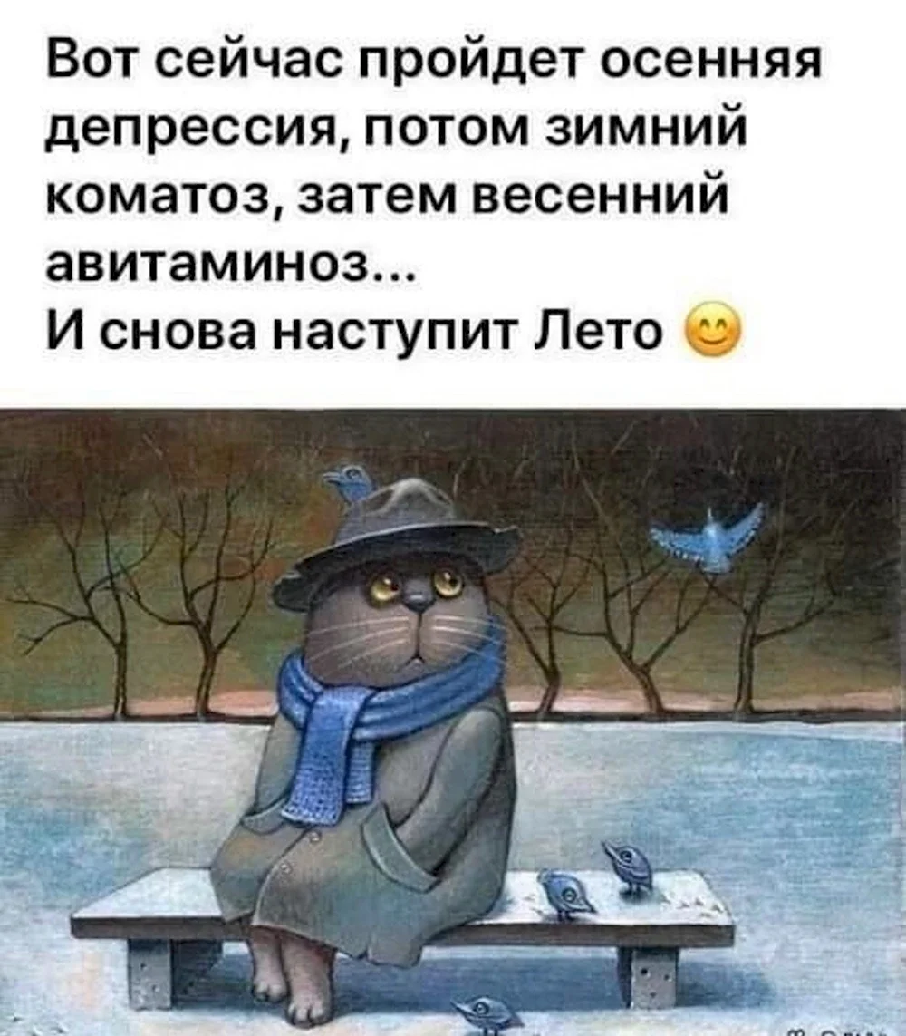 Кот в пальто