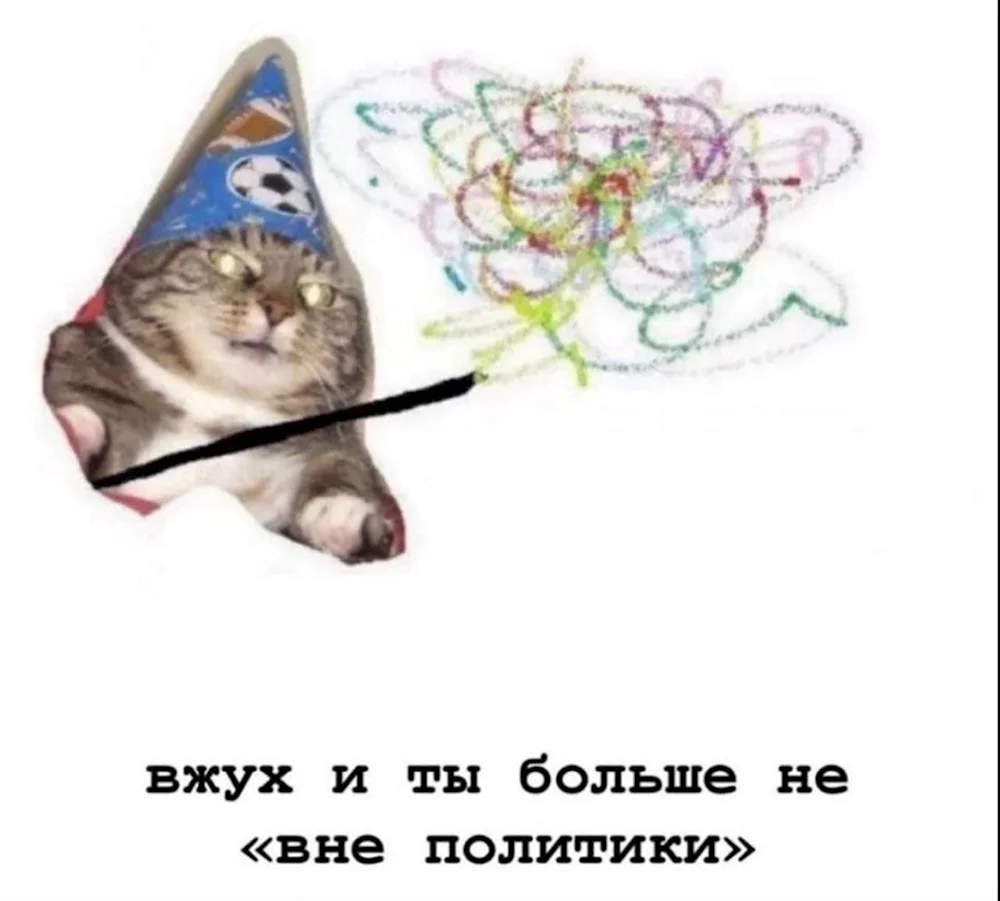 Кот вжух оригинал