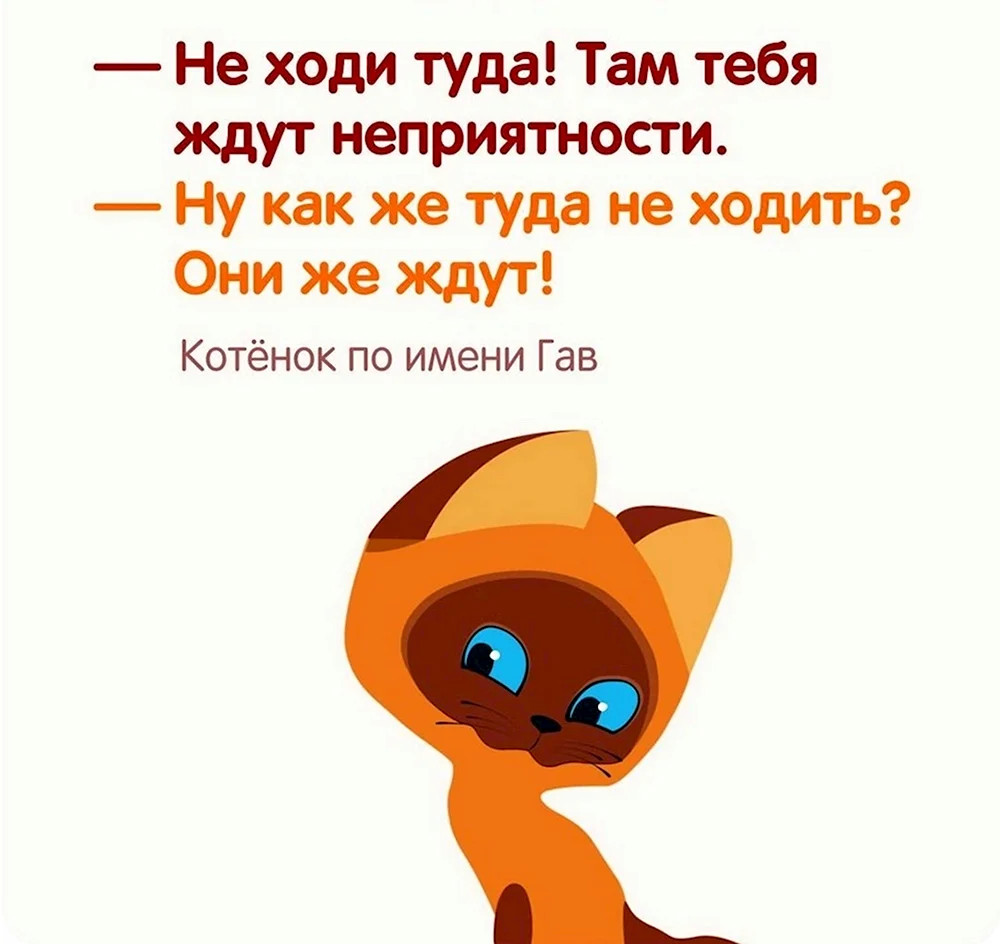 Котенок по имени Гав неприятности