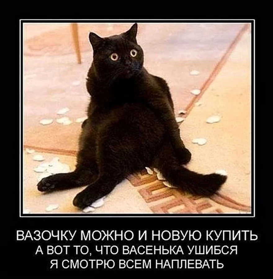 Коты демотиваторы