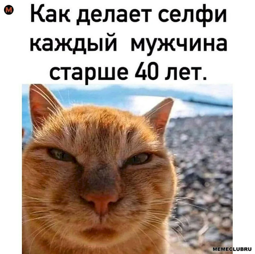 Коты селфи мужчин за 40