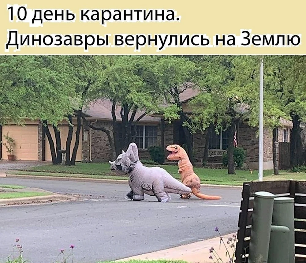 Крутые шутки