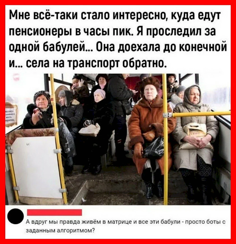 Куда утром едут бабушки