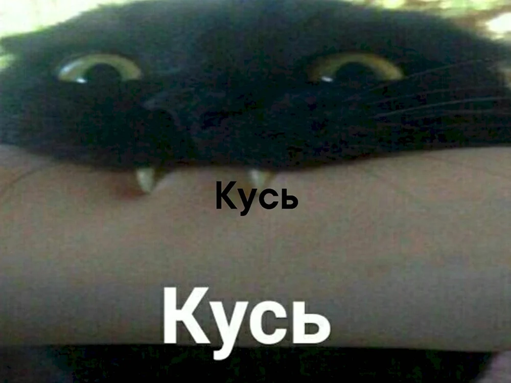 Кусь