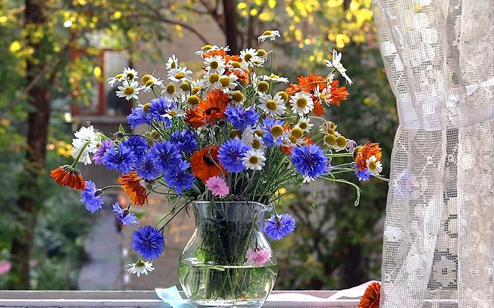 Летние цветы на окне