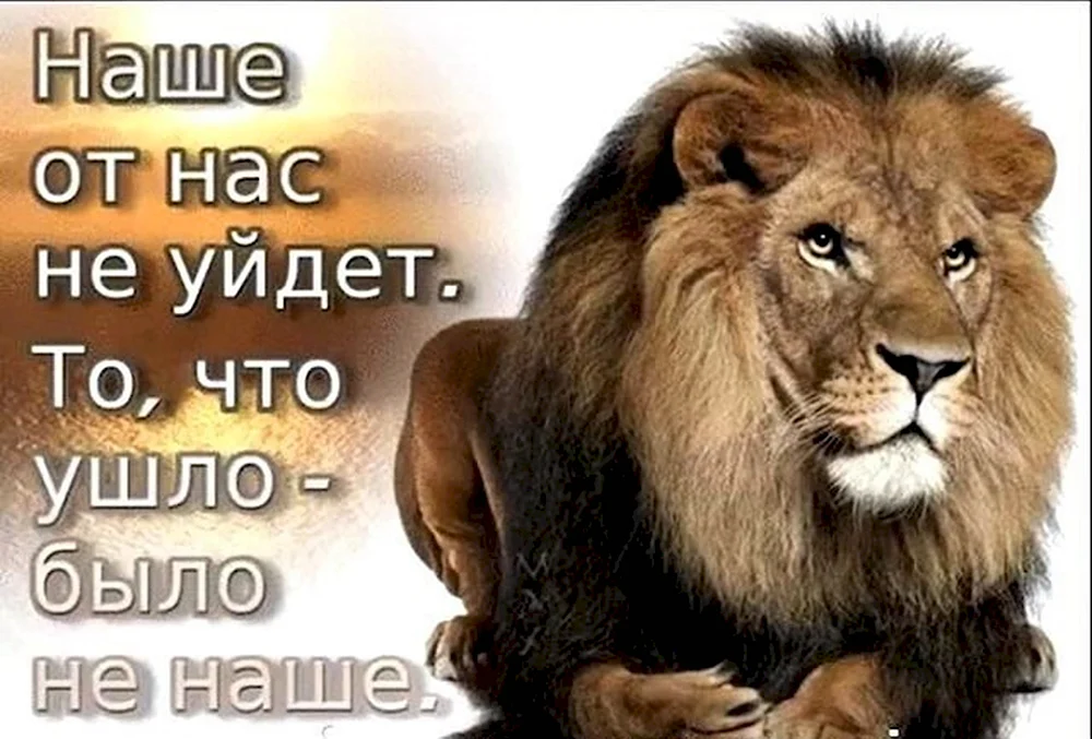 Лев цитаты