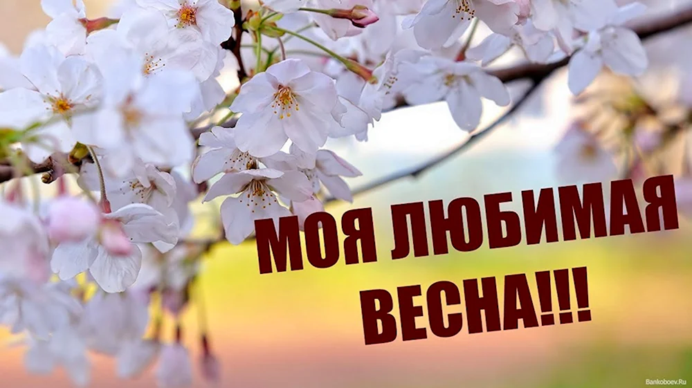 Люблю весну