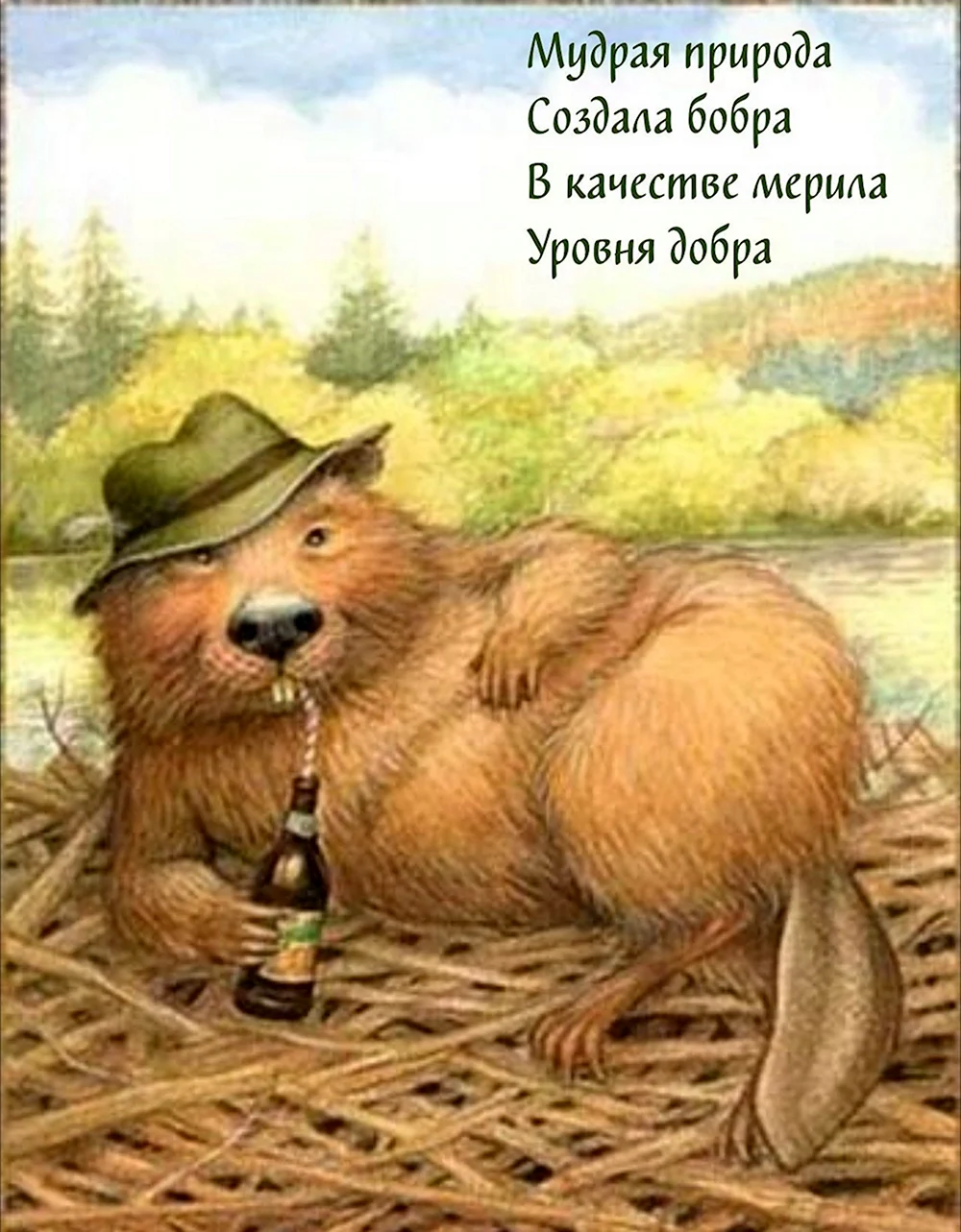 Медведь с бобром