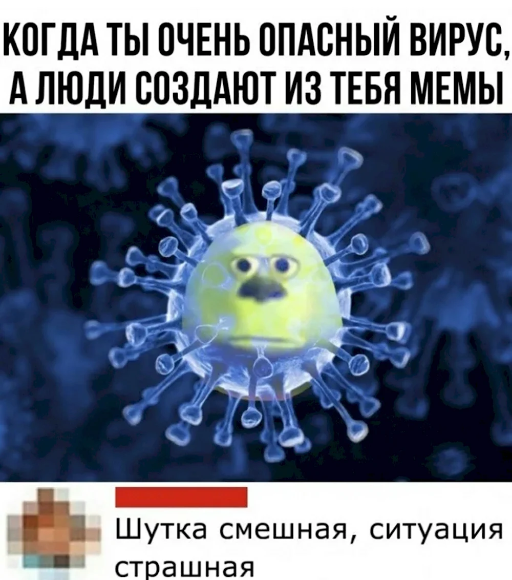 Мемы