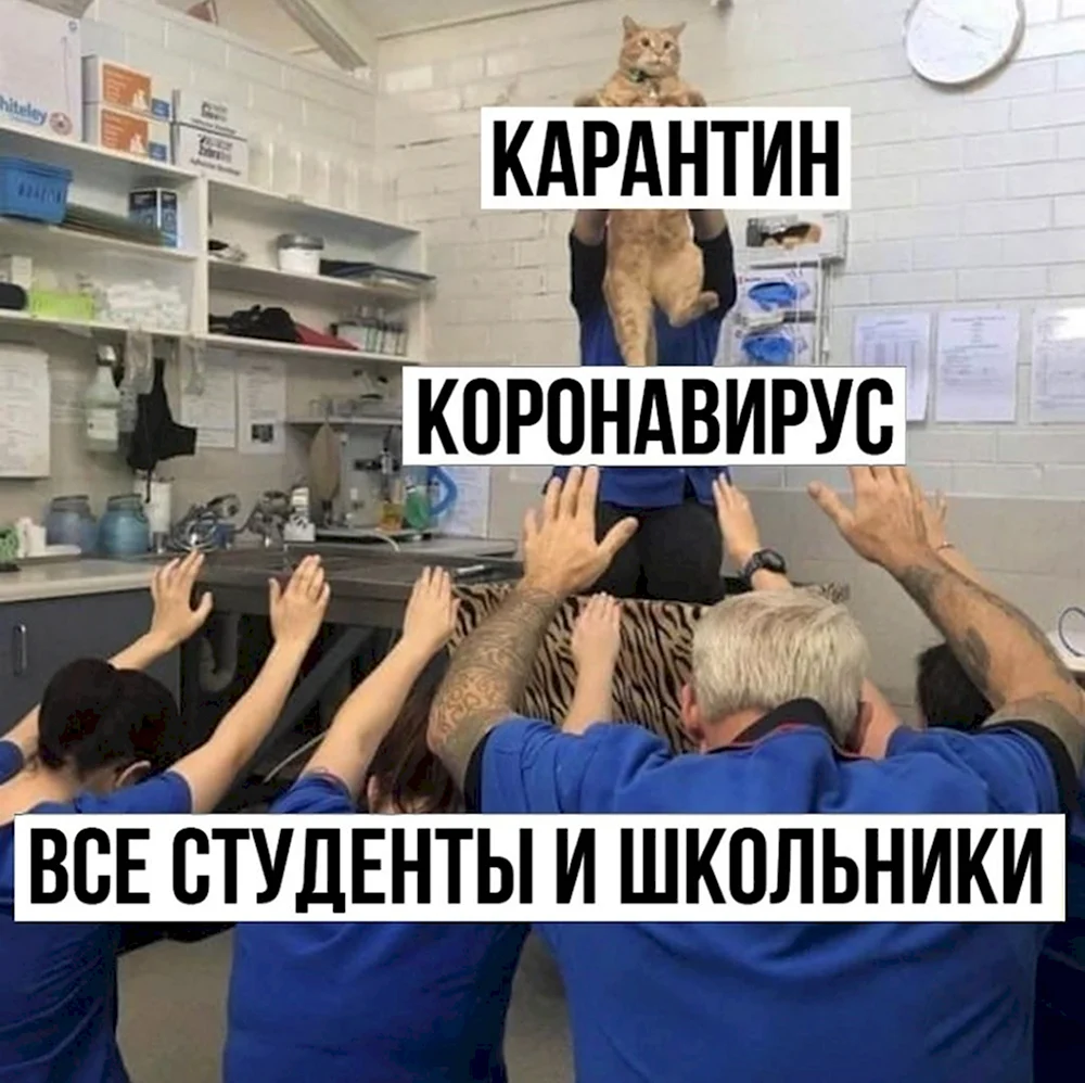 Мемы про карантин