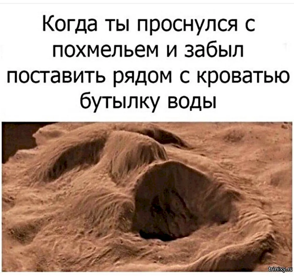 Мемы про похмелье