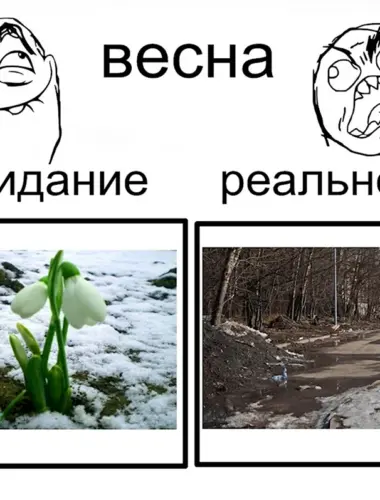 Мемы про весну