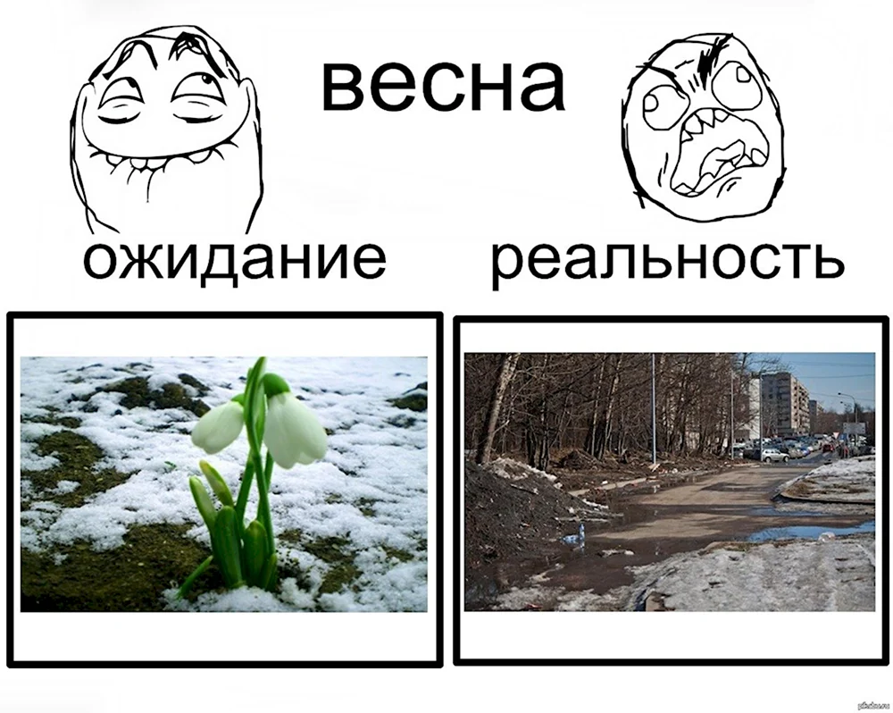 Мемы про весну