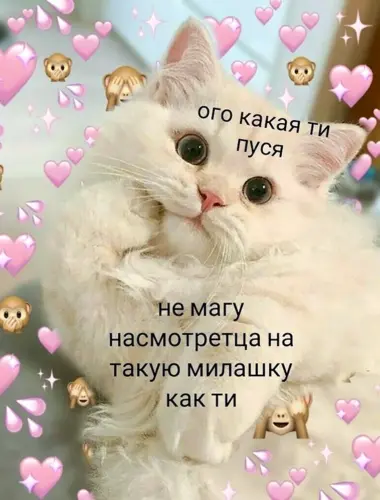 Милый котик с надписью