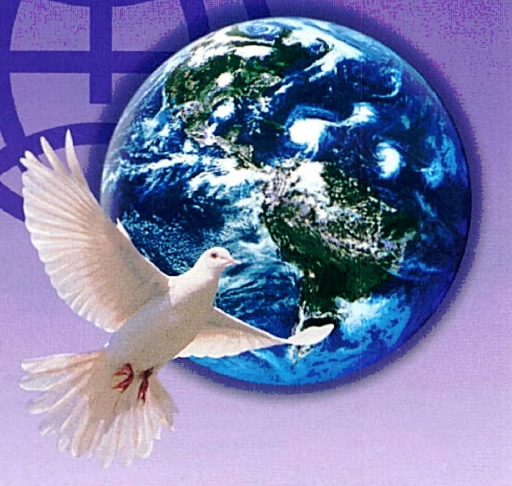 Мир на земле голубь