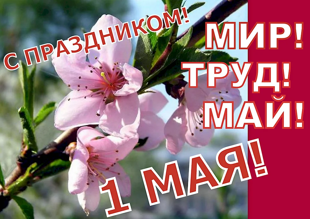 Мир труд май