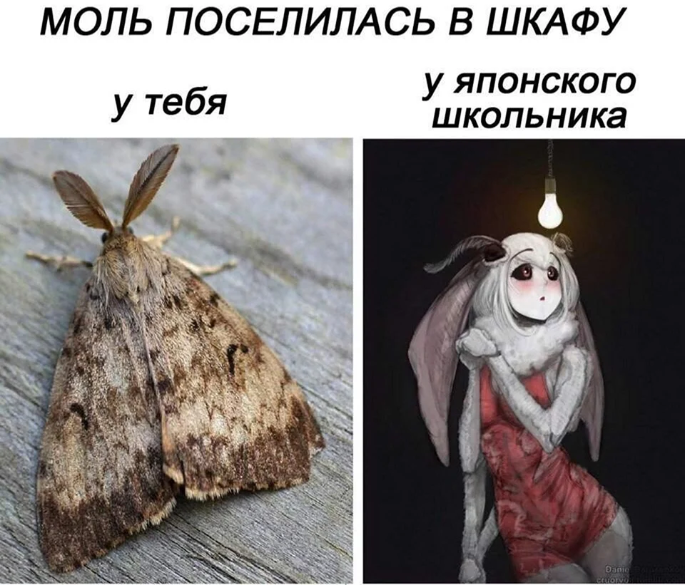 Моль