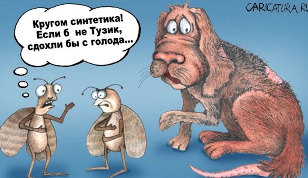 Моль карикатура