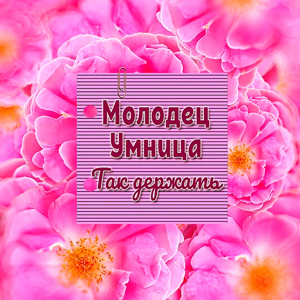 Молодец умница