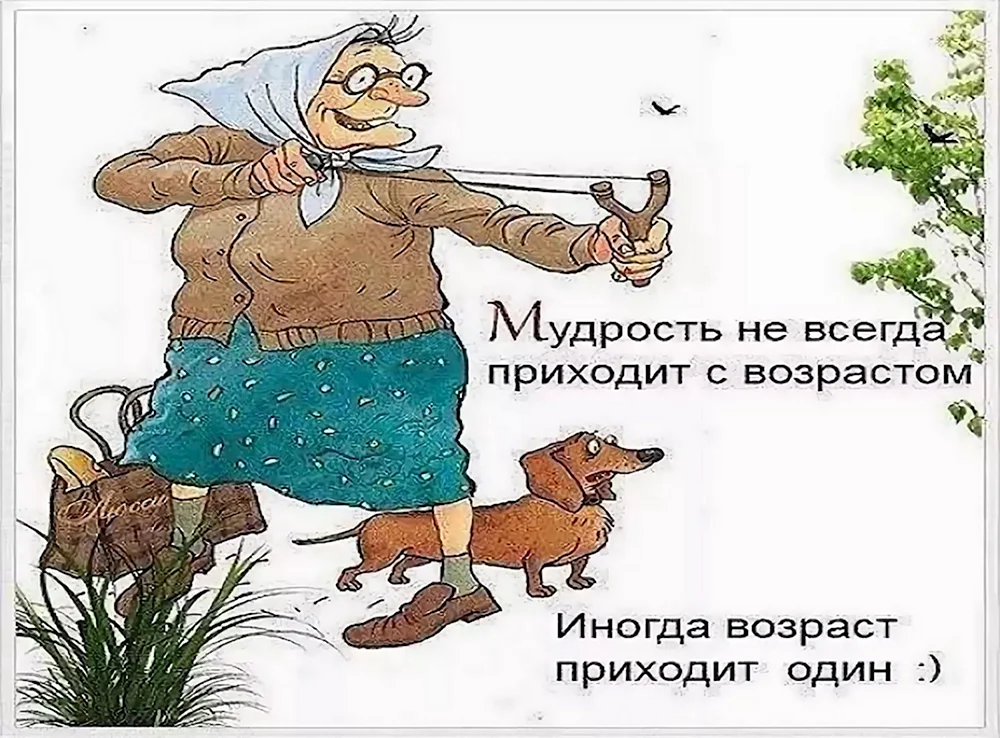 Мудрость старости