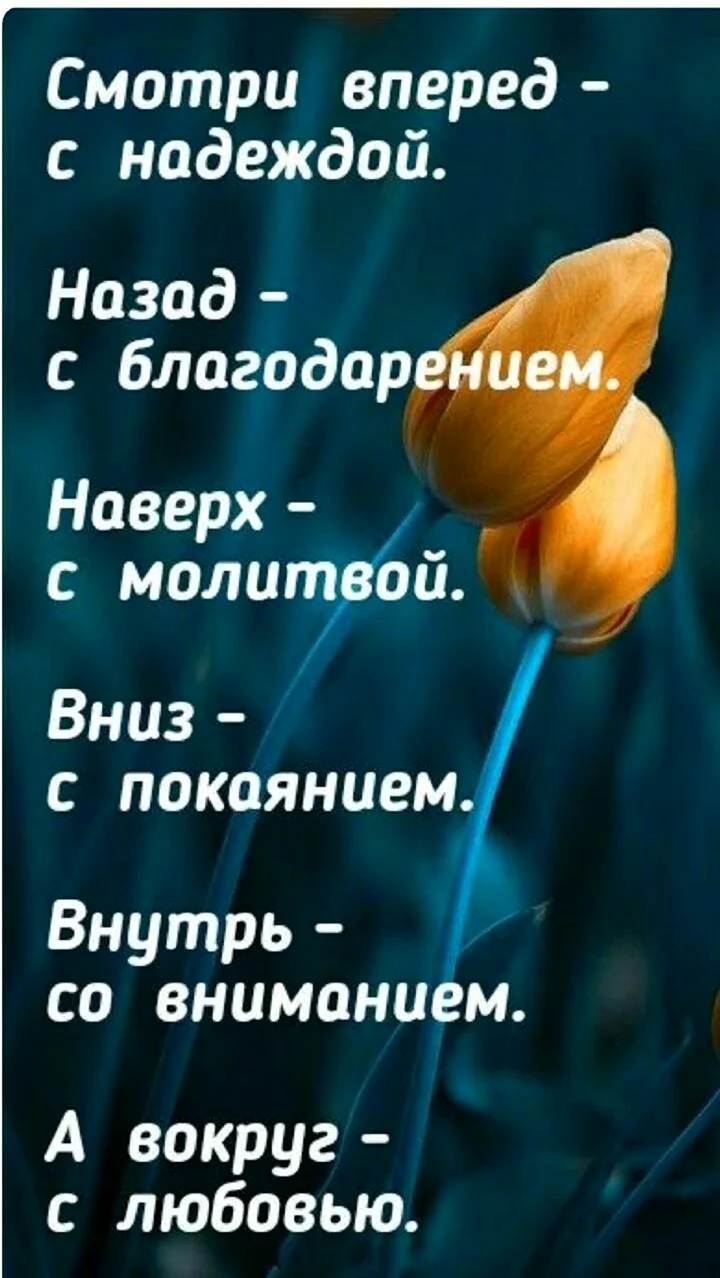 Мудрые христианские высказывания
