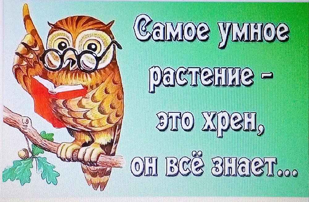 Мудрые шутки