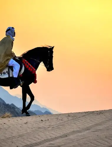 Мужчина на коне в пустыне