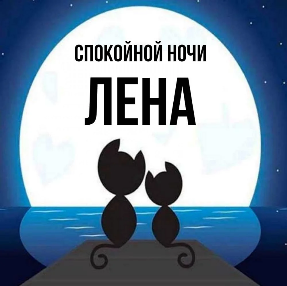 На фоне Луны два кота