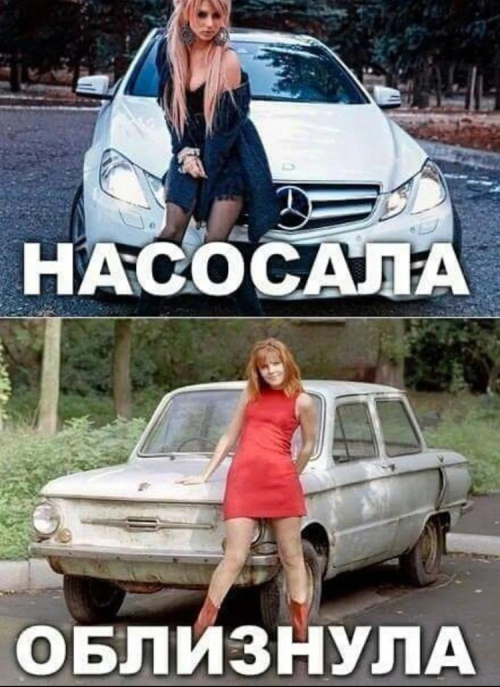 Насосала облизнула