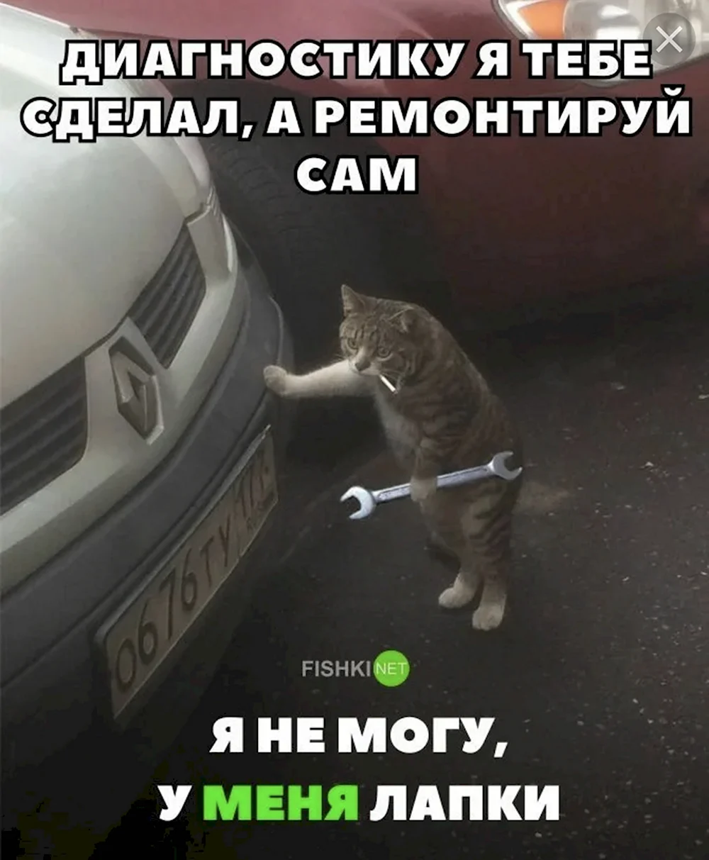 Не могу у меня лапки