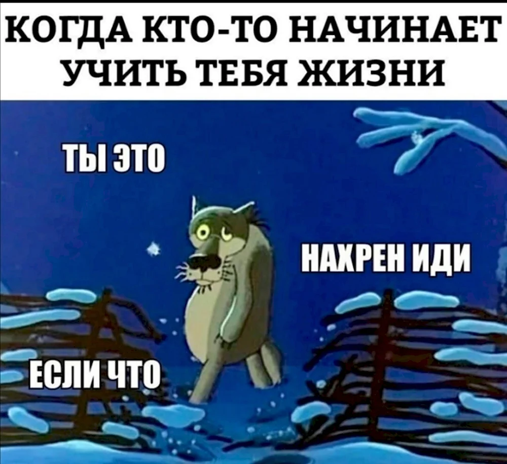 Не надо меня учить как жить