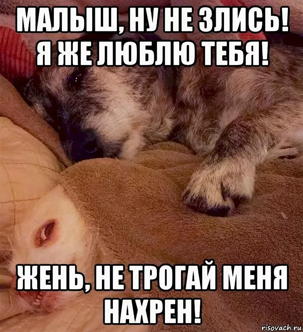 Не злись на меня