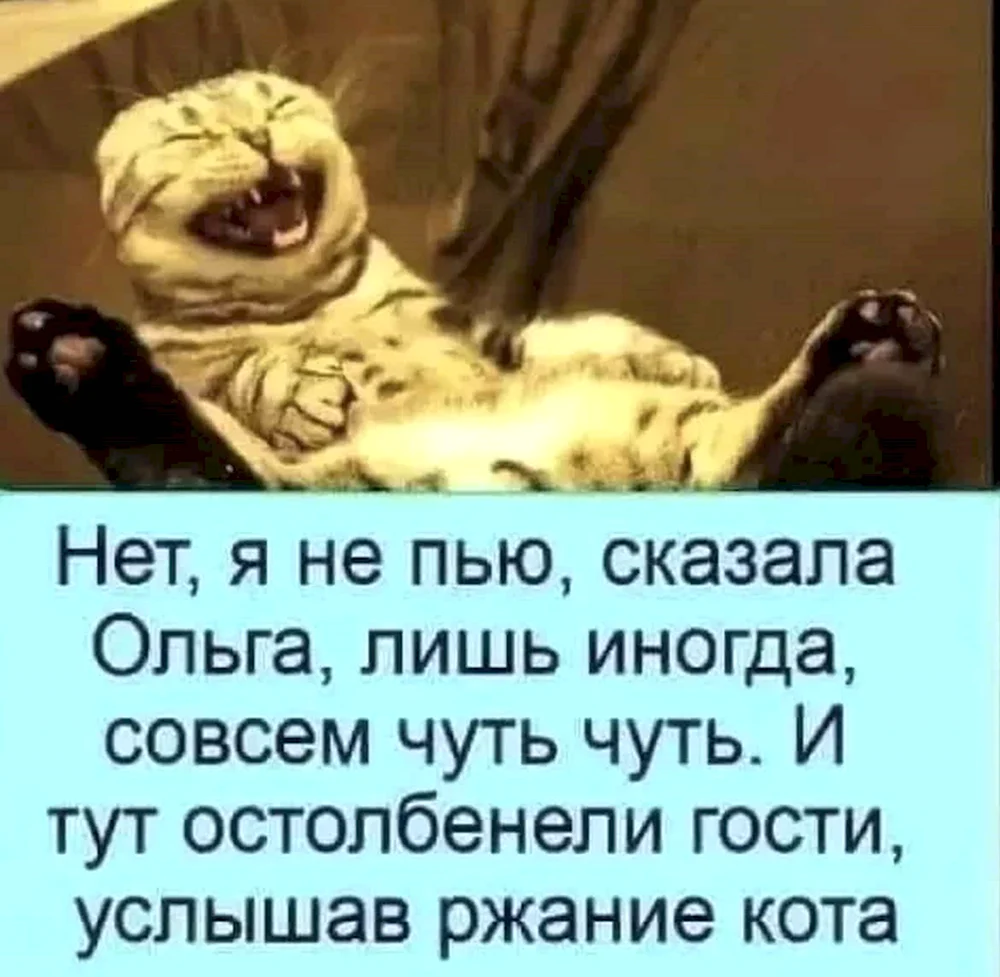 Нет я не пью сказала Ольга