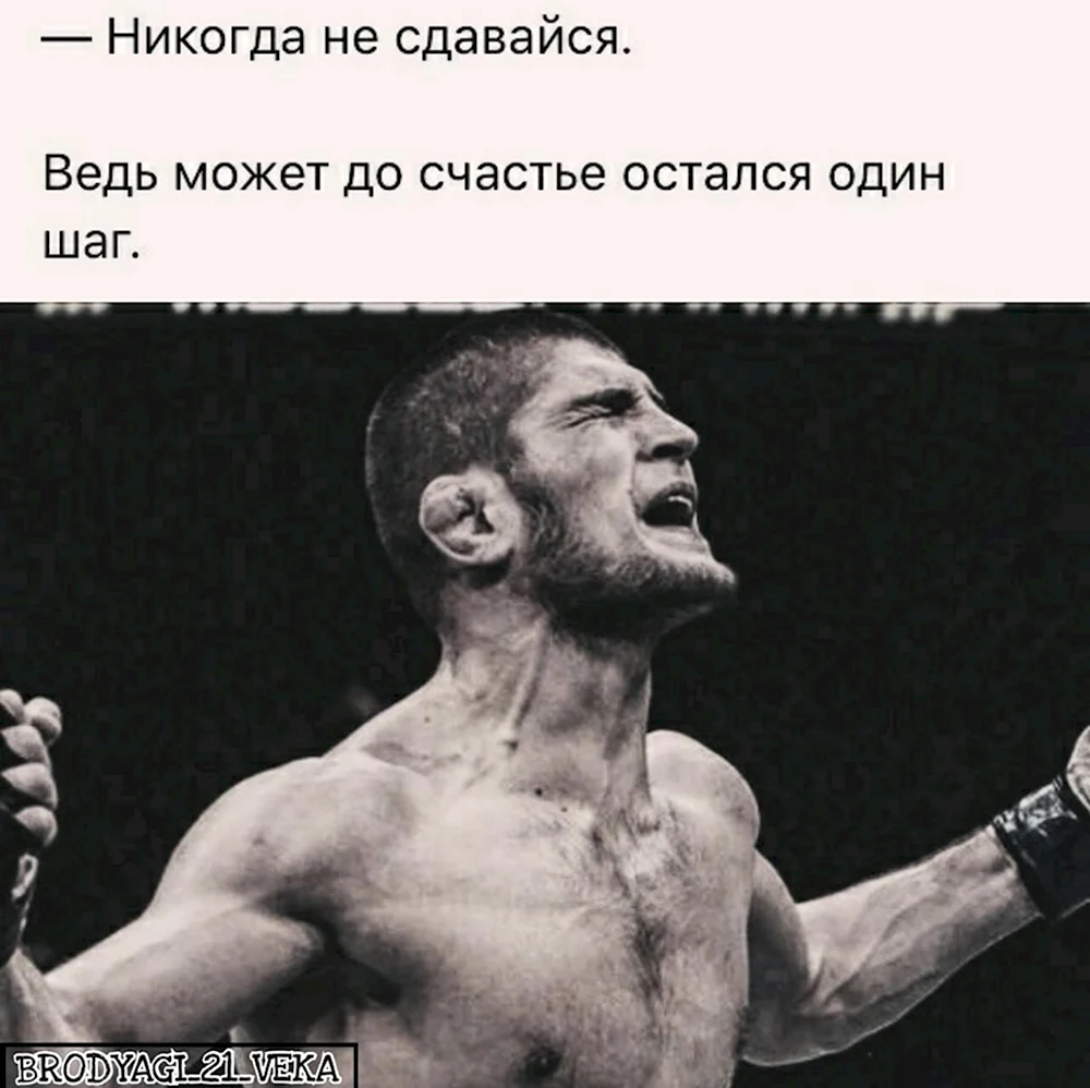 Никогда не сдавайся цитаты