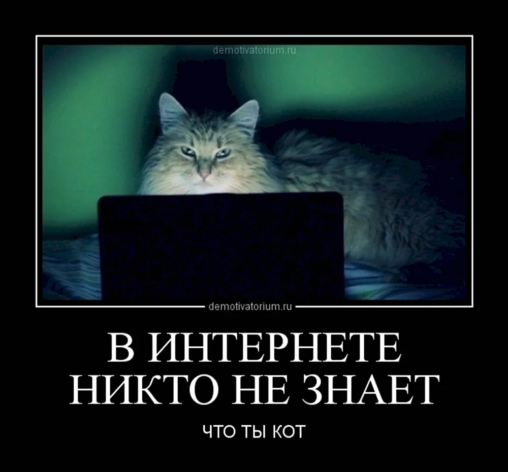 Никто не знает что ты кот