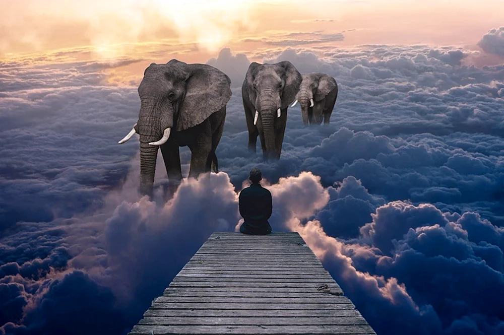 Облачные слоны