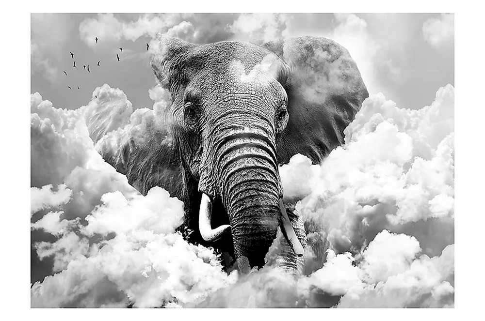 Облачные слоны
