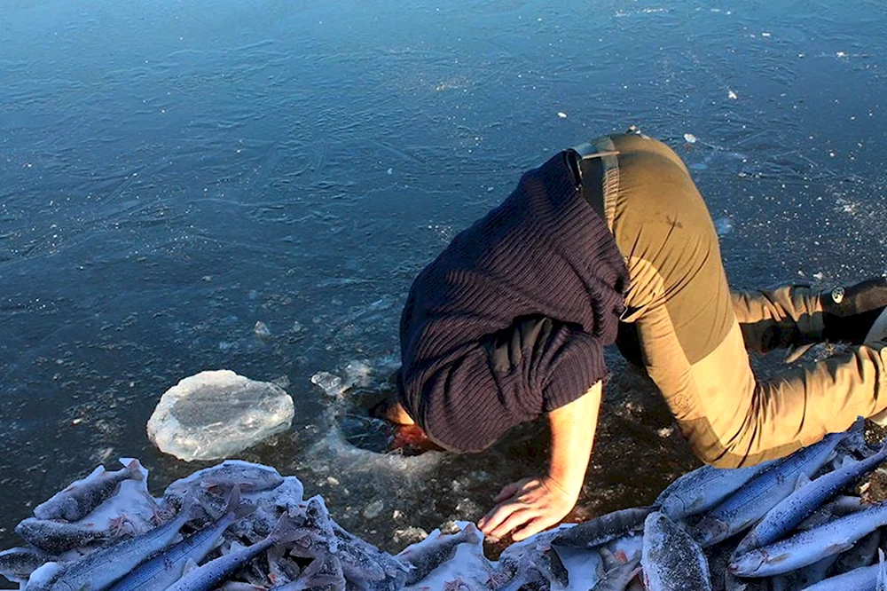 Опустил голову в воду